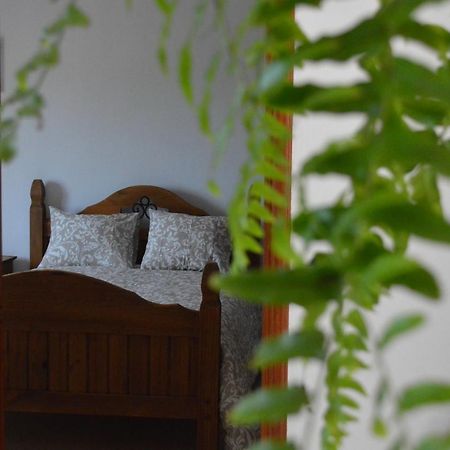 Casa Las Pardelas Icod De Los Vinos Esterno foto